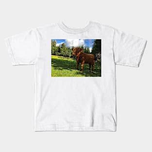 Scottish Highland Cattle Calf 1805 Kids T-Shirt